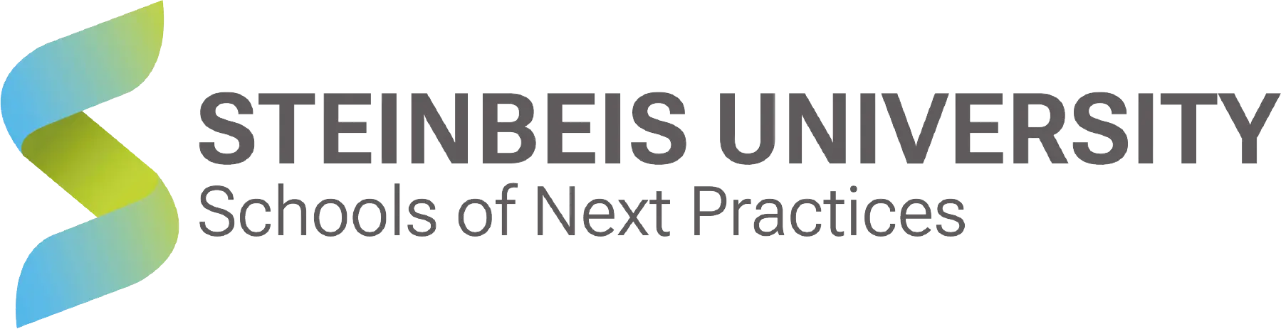 Logo der Steinbeis University – Schools of Next Practices GmbH